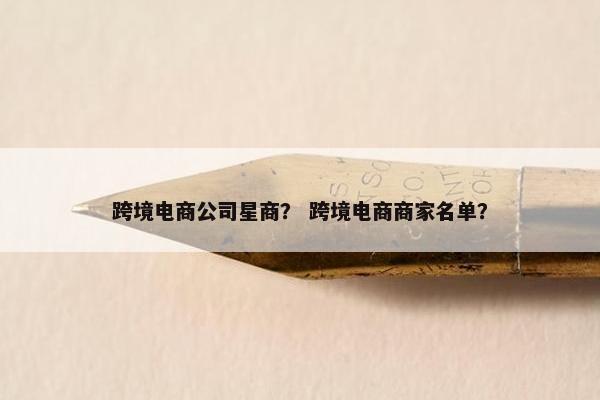跨境电商公司星商？ 跨境电商商家名单？