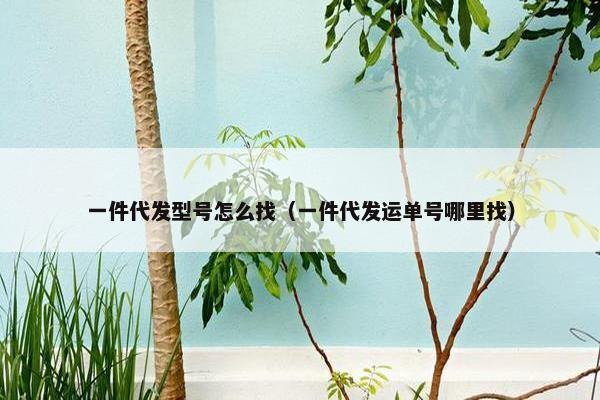 一件代发型号怎么找（一件代发运单号哪里找）