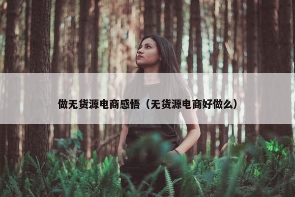 做无货源电商感悟（无货源电商好做么）
