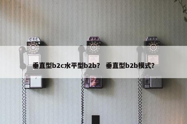 垂直型b2c水平型b2b？ 垂直型b2b模式？