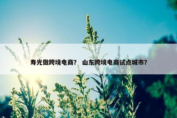 寿光做跨境电商？ 山东跨境电商试点城市？