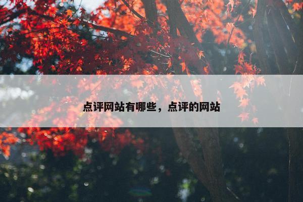 点评网站有哪些，点评的网站