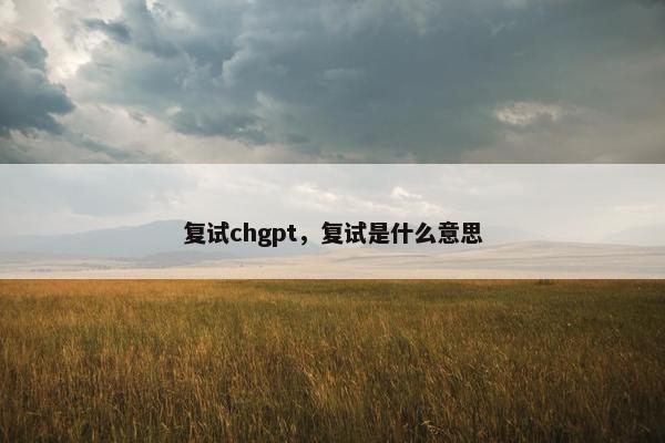 复试chgpt，复试是什么意思