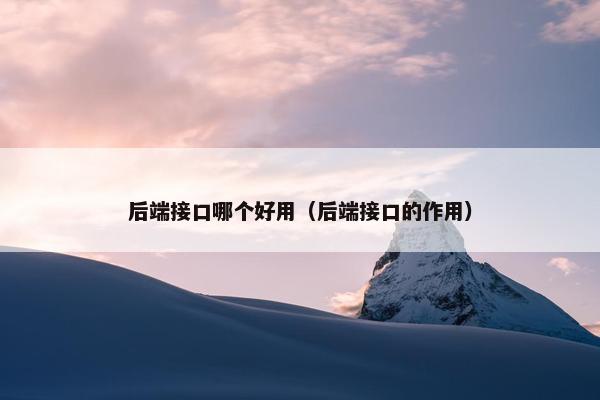 后端接口哪个好用（后端接口的作用）
