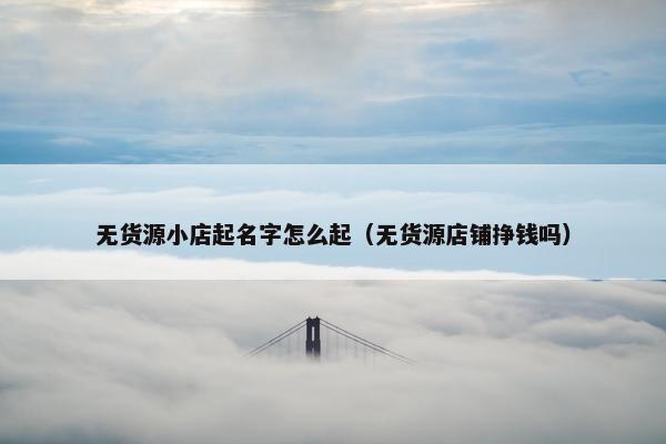 无货源小店起名字怎么起（无货源店铺挣钱吗）
