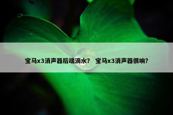 宝马x3消声器后端滴水？ 宝马x3消声器很响？