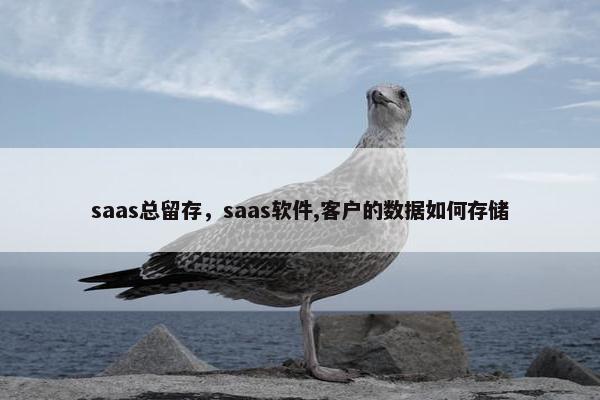 saas总留存，saas软件,客户的数据如何存储