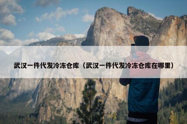武汉一件代发冷冻仓库（武汉一件代发冷冻仓库在哪里）