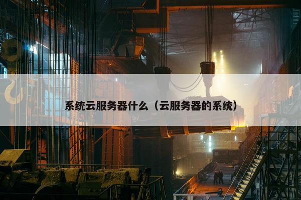 系统云服务器什么（云服务器的系统）