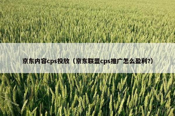 京东内容cps投放（京东联盟cps推广怎么盈利?）