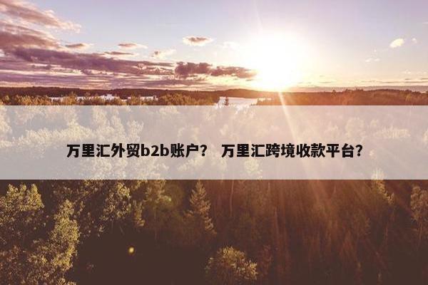 万里汇外贸b2b账户？ 万里汇跨境收款平台？