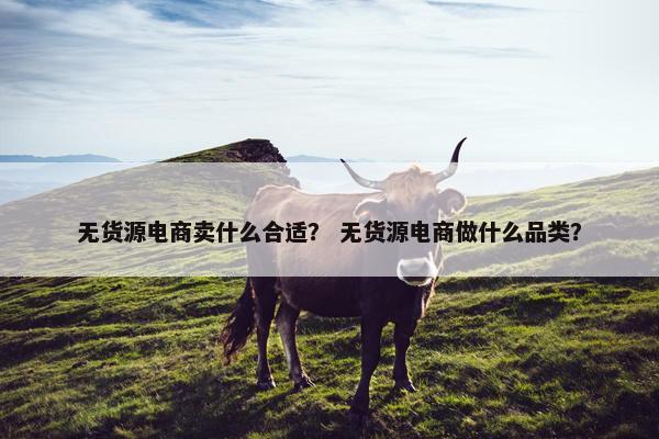 无货源电商卖什么合适？ 无货源电商做什么品类？