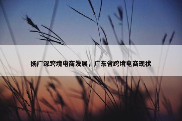 扬广深跨境电商发展，广东省跨境电商现状