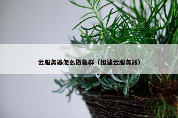 云服务器怎么做集群（组建云服务器）
