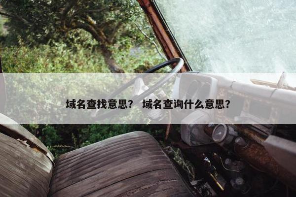 域名查找意思？ 域名查询什么意思？