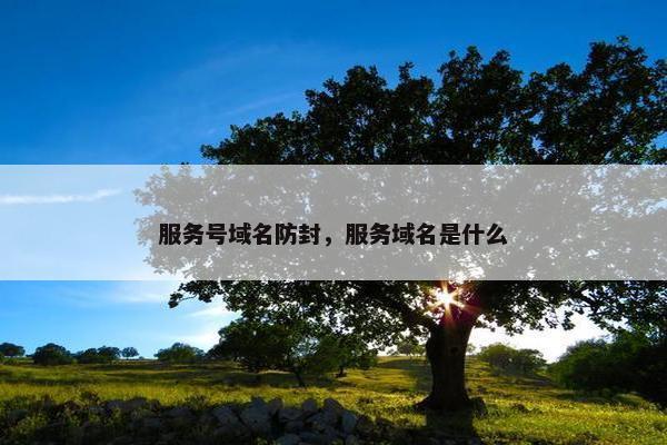 服务号域名防封，服务域名是什么