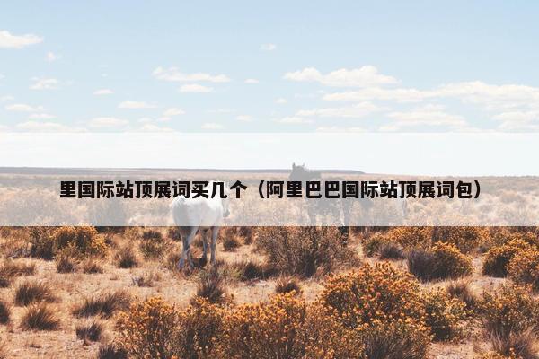 里国际站顶展词买几个（阿里巴巴国际站顶展词包）