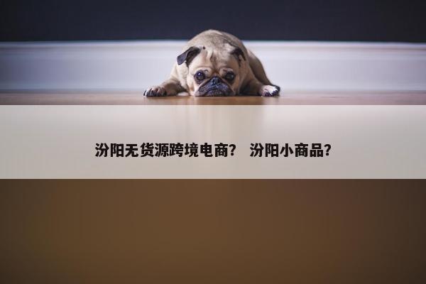 汾阳无货源跨境电商？ 汾阳小商品？
