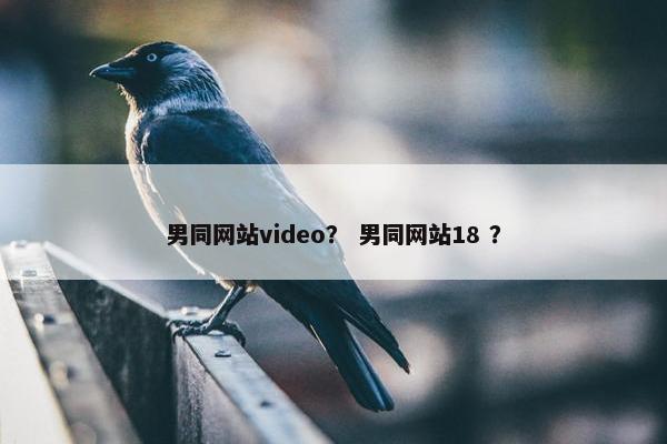 男同网站video？ 男同网站18 ？