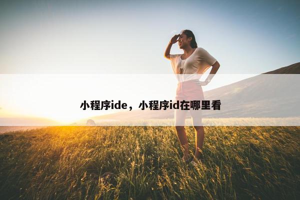 小程序ide，小程序id在哪里看