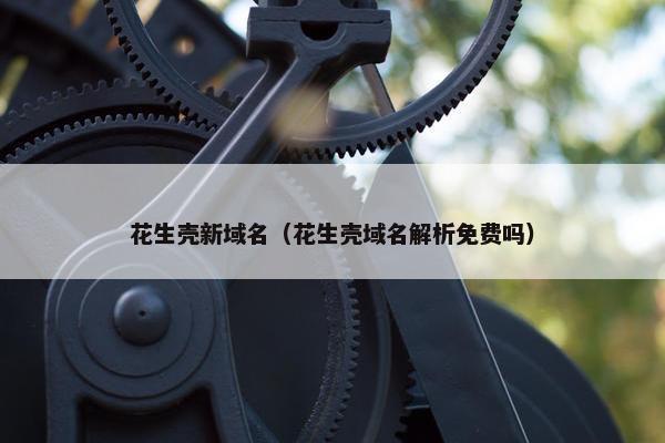 花生壳新域名（花生壳域名解析免费吗）