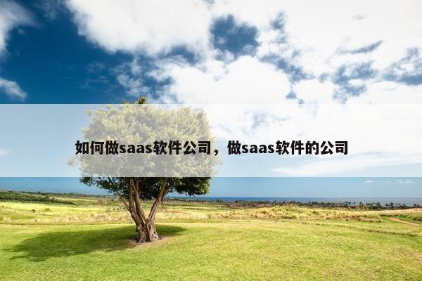 如何做saas软件公司，做saas软件的公司