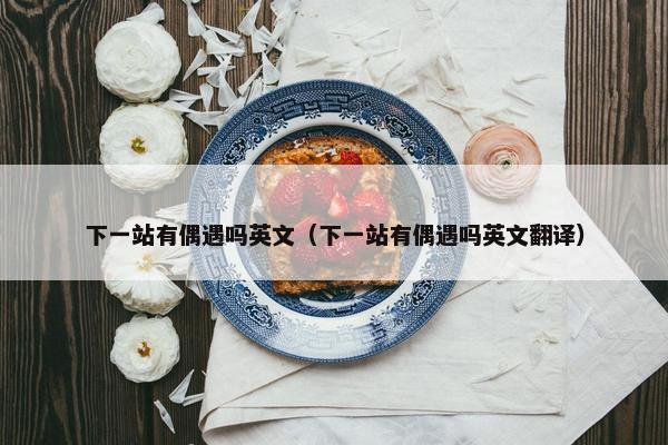 下一站有偶遇吗英文（下一站有偶遇吗英文翻译）