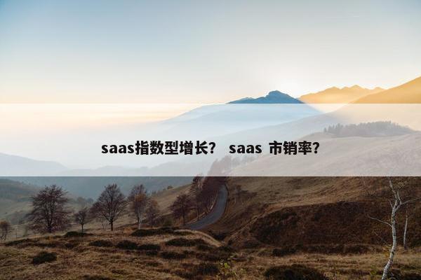 saas指数型增长？ saas 市销率？