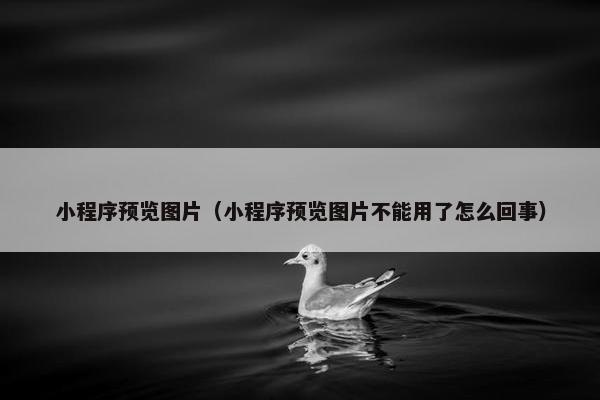 小程序预览图片（小程序预览图片不能用了怎么回事）