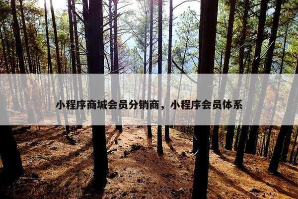 小程序商城会员分销商，小程序会员体系