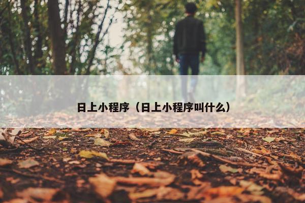 日上小程序（日上小程序叫什么）