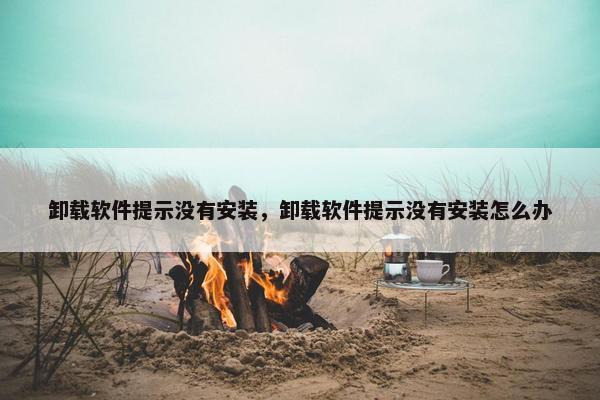 卸载软件提示没有安装，卸载软件提示没有安装怎么办