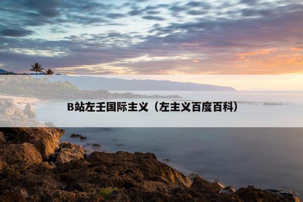 B站左壬国际主义（左主义百度百科）