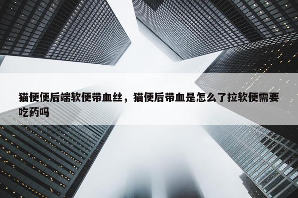 猫便便后端软便带血丝，猫便后带血是怎么了拉软便需要吃药吗