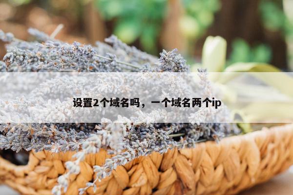 设置2个域名吗，一个域名两个ip