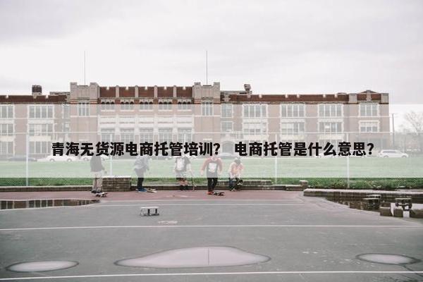 青海无货源电商托管培训？ 电商托管是什么意思？