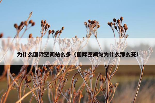 为什么国际空间站么多（国际空间站为什么那么亮）