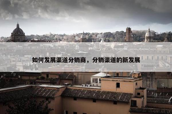 如何发展渠道分销商，分销渠道的新发展
