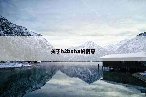 关于b2baba的信息