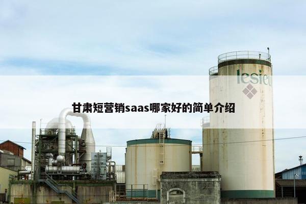 甘肃短营销saas哪家好的简单介绍