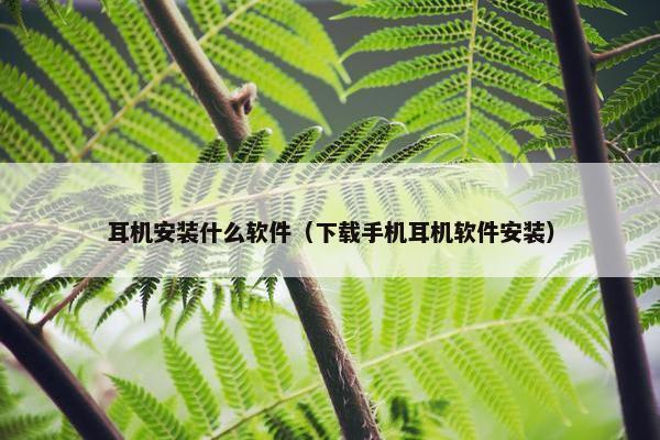 耳机安装什么软件（下载手机耳机软件安装）