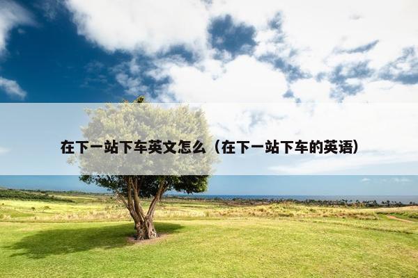 在下一站下车英文怎么（在下一站下车的英语）