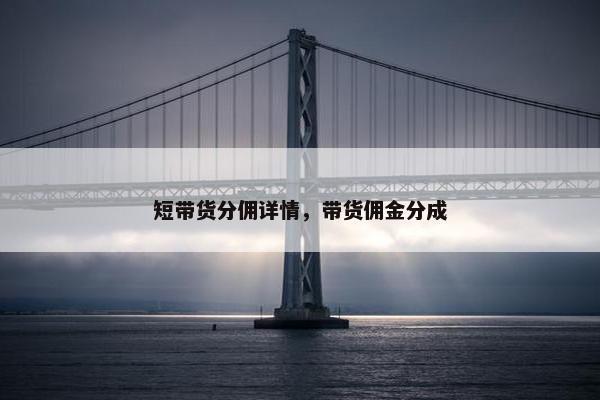 短带货分佣详情，带货佣金分成