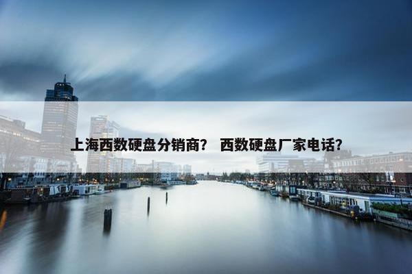 上海西数硬盘分销商？ 西数硬盘厂家电话？