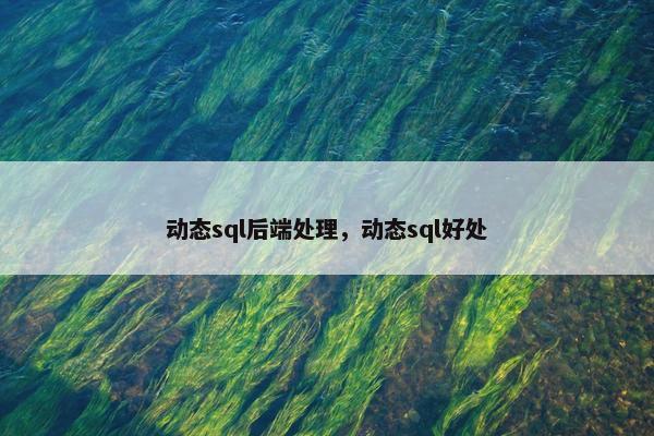 动态sql后端处理，动态sql好处