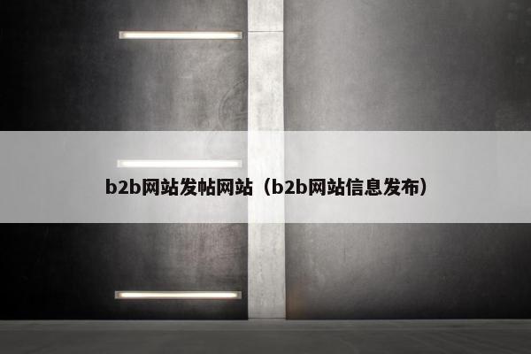 b2b网站发帖网站（b2b网站信息发布）