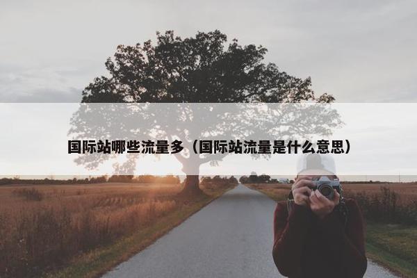 国际站哪些流量多（国际站流量是什么意思）