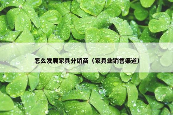 怎么发展家具分销商（家具业销售渠道）