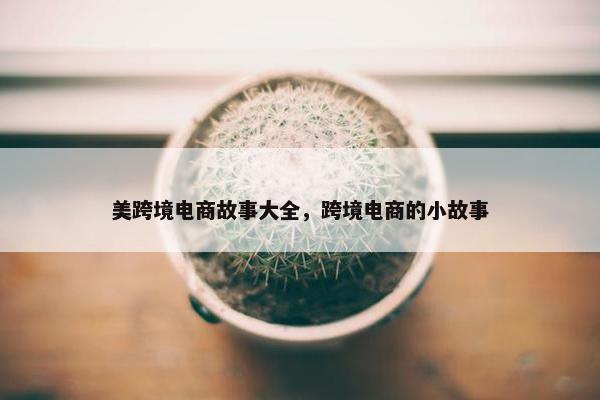 美跨境电商故事大全，跨境电商的小故事