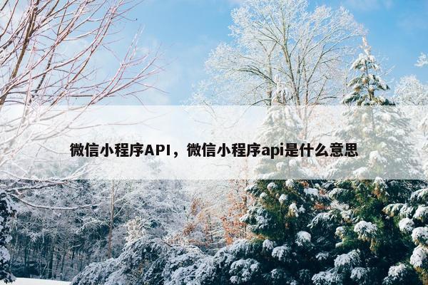 微信小程序API，微信小程序api是什么意思
